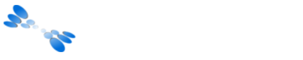 IBT Software